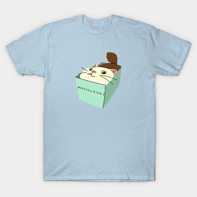 cat in a box T-Shirt by GttP